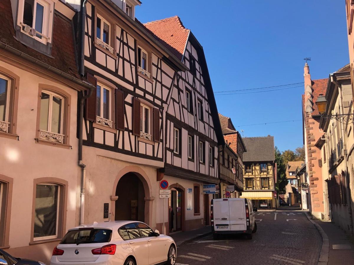 Residence Des Tanneurs - Riesling Obernai Kültér fotó